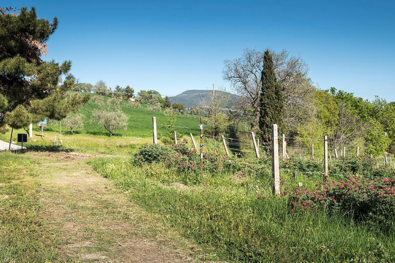 אנקונה A11 - Varano, Delizioso Trilocale Con Giardino מראה חיצוני תמונה